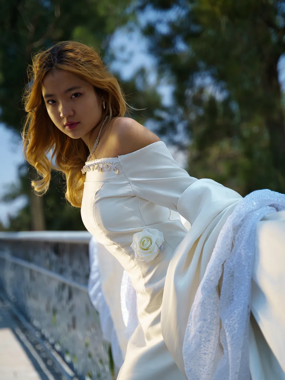 Elegancia — Modelo
