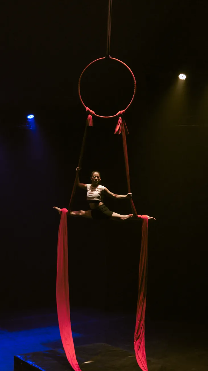 Aro aéreo — Artista de aro