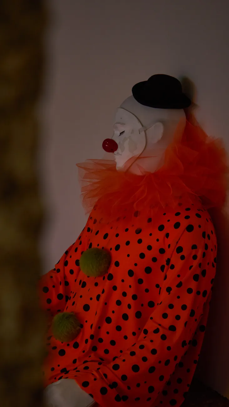 Perfil — Payaso